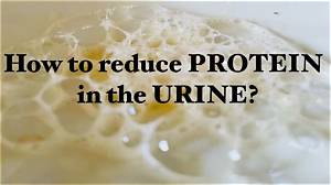 How to Get Rid of Protein in Urine