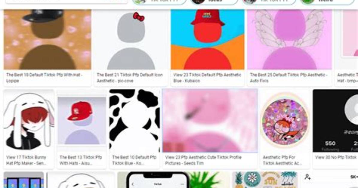 How to Make Aesthetic Pfp for Tiktok? Preppy Pfp Maker Step-by-Step Guide