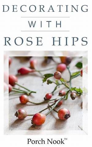 How to Preserve Rose Hips for Decoration