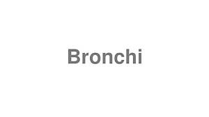 How to Pronounce Bronchi