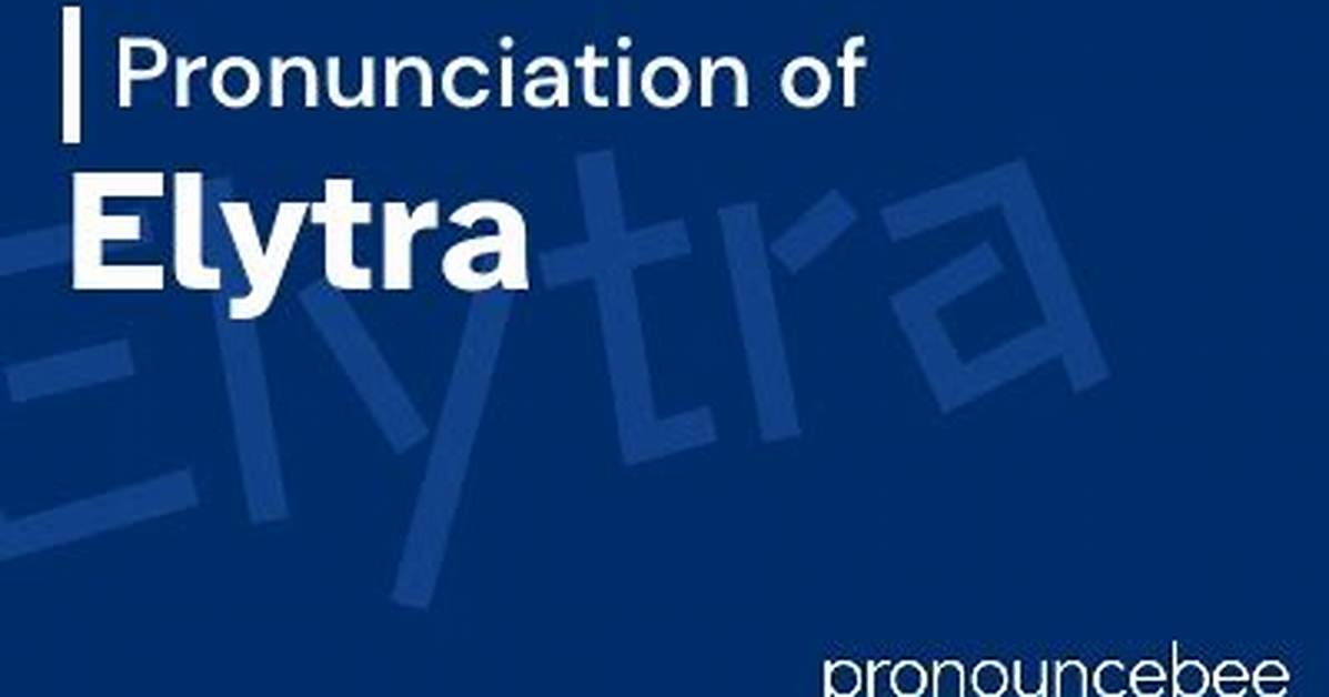 How to Pronounce Elytra