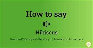 How to Pronounce Hibiscus