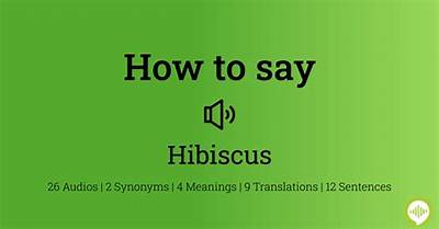 How to Pronounce Hibiscus