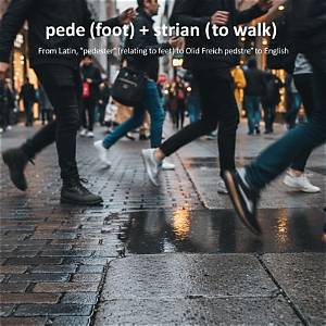 How to Pronounce Pedestrian