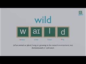 How to Pronounce Wild