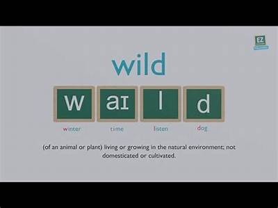 How to Pronounce Wild