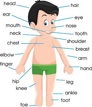 How to Spell Throught Body Part