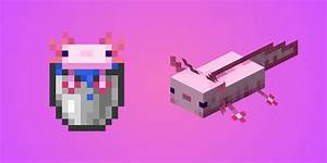 How to Tame an Axolotl in Minecraft