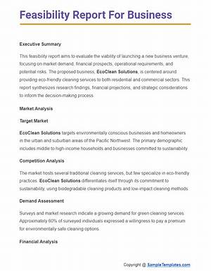 How to Write a Feasibility Report Sample