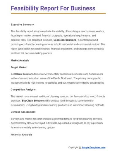 How to Write a Feasibility Report Sample