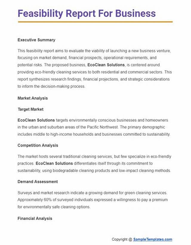 How to Write a Feasibility Report Sample