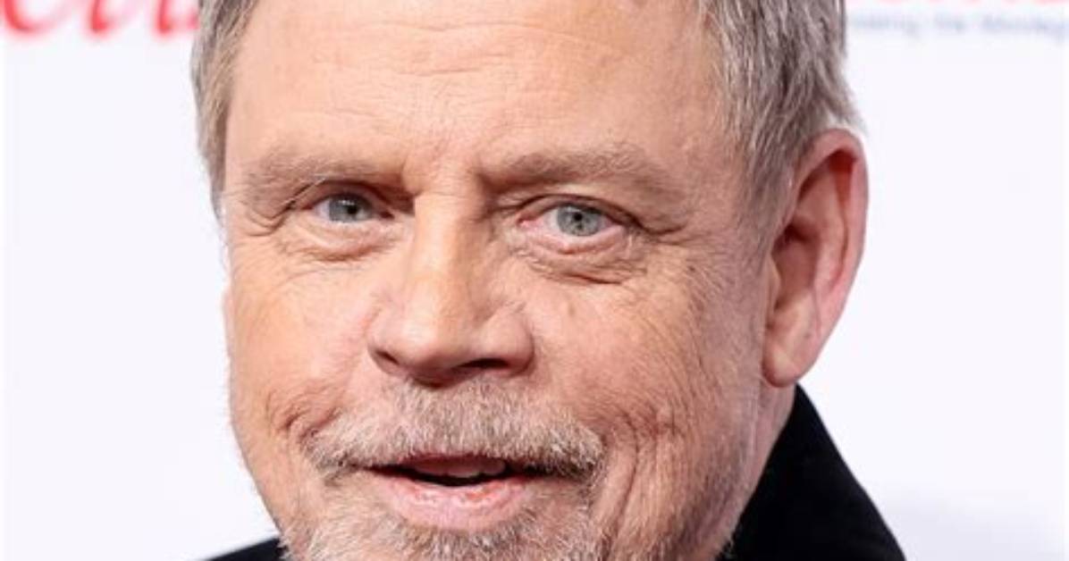 Ike Hamill Wikipedia: Everything to Know About the Author
