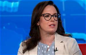 Is Maggie Haberman Pregnant? All About the Journalist Exposing Trump Toilet Wads Secret