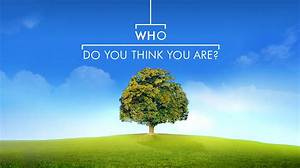 Is the “Who Do You Think You Are? ” Actor David Walliams Gay or Pansexual & Does He Have a Partner?