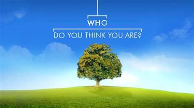 Is the “Who Do You Think You Are? ” Actor David Walliams Gay or Pansexual & Does He Have a Partner?