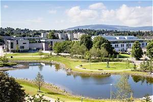 Is Ucd an Nui