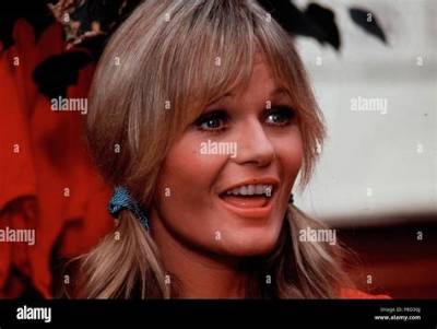 Is Valerie Perrine Dating Anyone, Who Is Her Husband or Boyfriend?