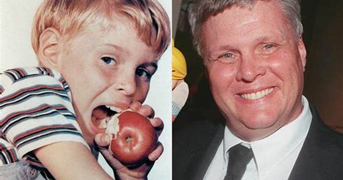 Jay North Today, Bio, Wiki, Age, Wife, Family, Movies, Tv Shows, and Net Worth.