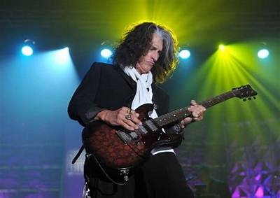 Joe Perry Net Worth, Income, Salary, Earnings, Biography