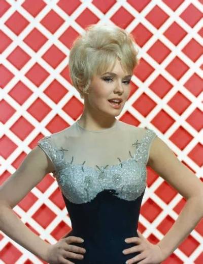 Joey Heatherton – Bio, Net Worth, Age, Height, All You Need to Know