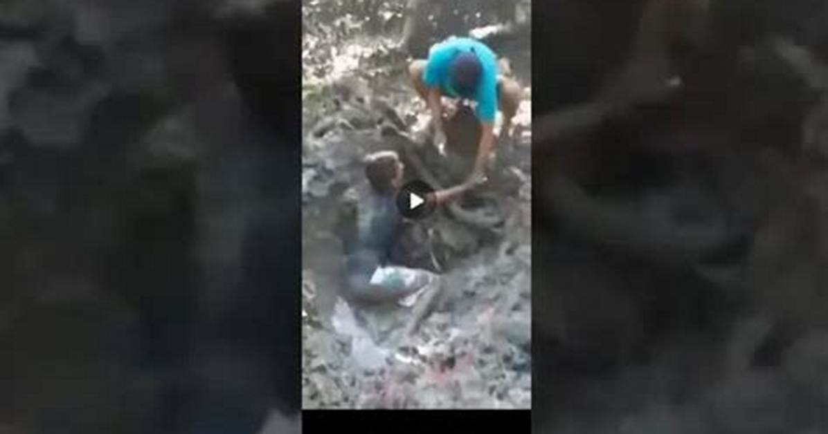 Kartel Pikabu Video on Twitter, Pikabu Ru Story Kartel Video Izleme