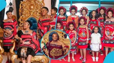 King Mswati Iii – Biography, Age, Wives, Children & Net Worth