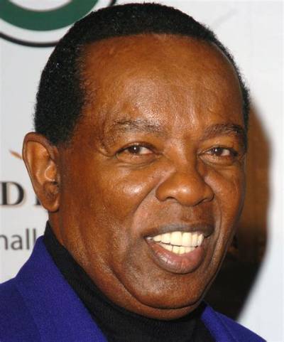Lou Rawls Jr. Net Worth, Income, Salary, Earnings, Biography