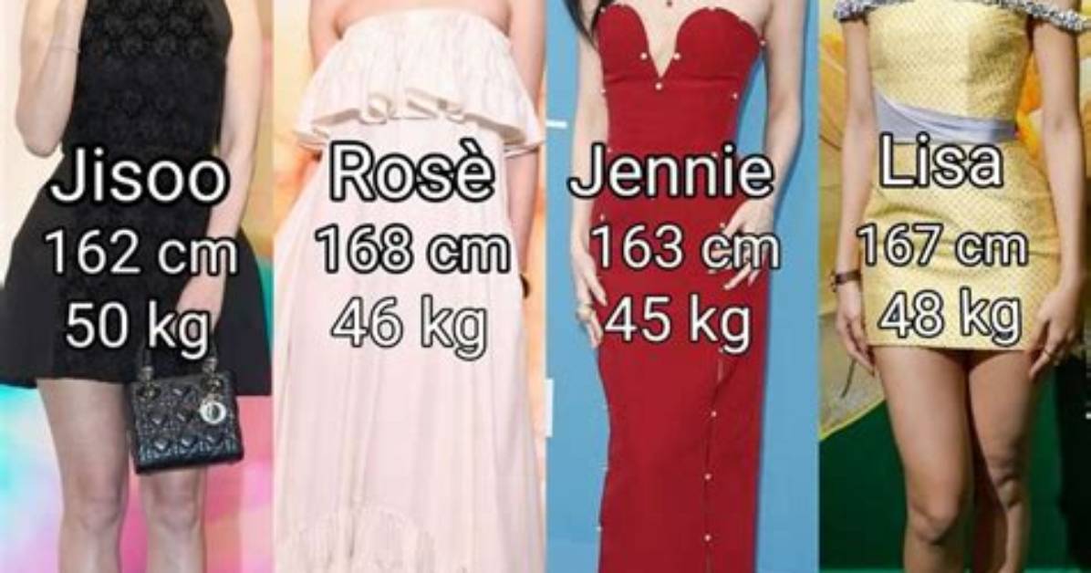 M%C3%A5Neskin Members Height How Tall Are M%C3%A5Neskin 400. Jpg