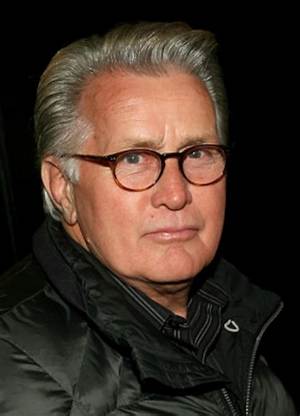 Martin Sheen’s Biography, Fact, Career, Awards, Net Worth & Life Story