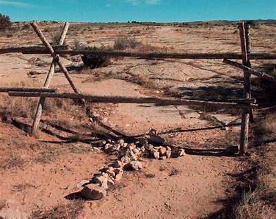 Matthew Shepard Death Photos and Crime Scene, Where Are Aaron Mckinney and Russell Henderson Now?