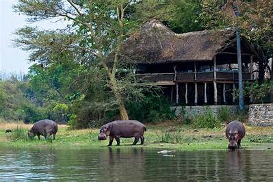 Mawila Lodge and Camp, Liwonde, Malawi