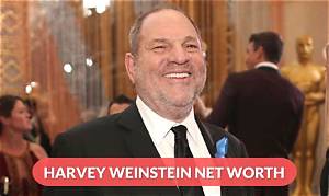 Max Jansen Weinstein Net Worth, Income, Salary, Earnings, Biography