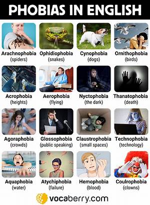 Meaning, Types & List of Phobias