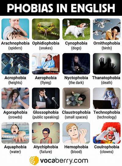 Meaning, Types & List of Phobias