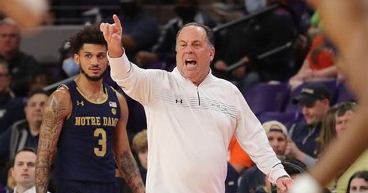 Mike Bray Basketball Coach from Notre Dame, Salary and Net Worth