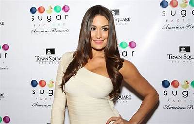 Nikki Bella: Dating, Net Worth, Tattoos, Smoking & Body Measurements