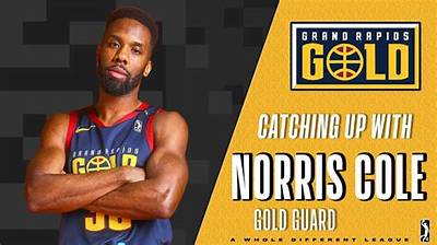 Norris Cole (Basketball)’S Biography, Net Worth, Fact, Career, Awards and Life Story