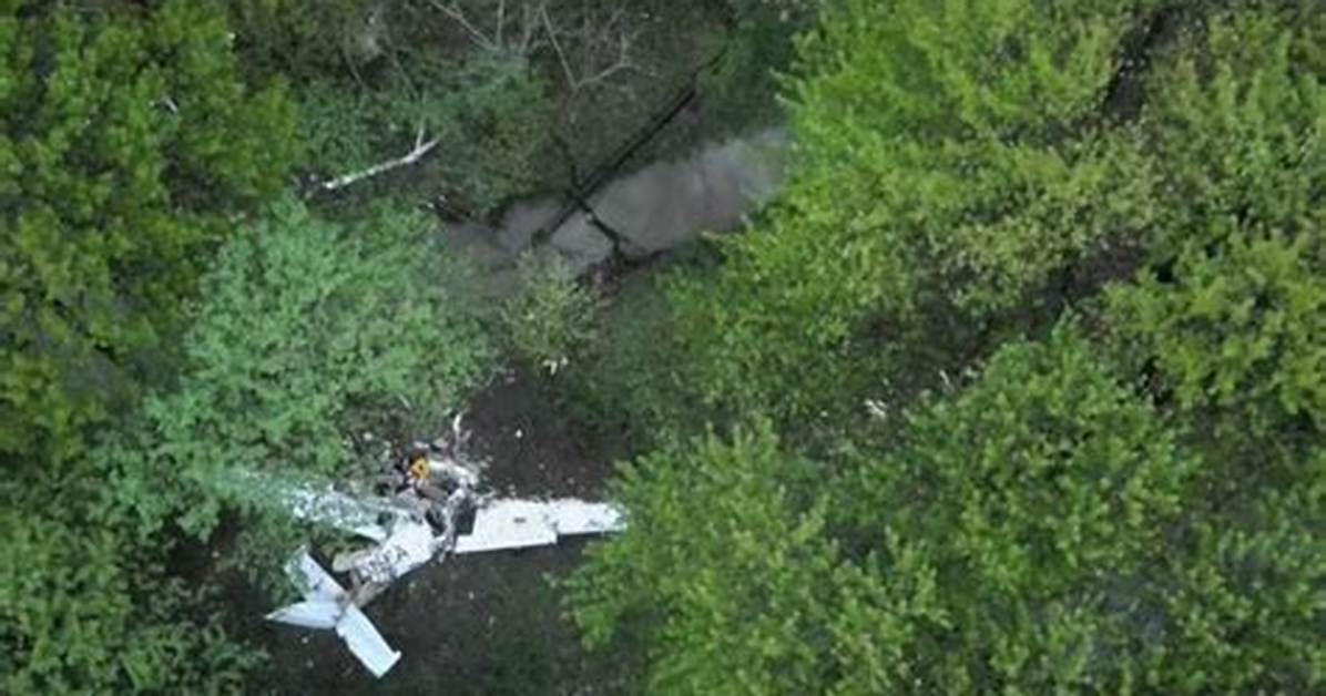 Obituary: Nick Popovich Dead or Alive? Plane Crash -Everything to Know About the Actor