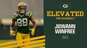 Packers: Who Is Juwann Winfree? Everything on His Parents and Ethnicity
