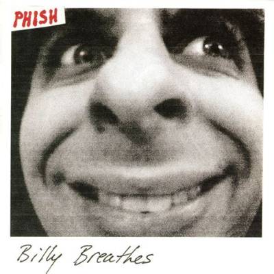 Phish’s Strange Design Lyrics
