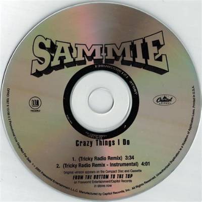 Sammie’s the Crazy Things I Do Lyrics