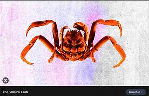 Samurai Crab Video on Reddit, Amazing Fact: the Crab with a Human Face