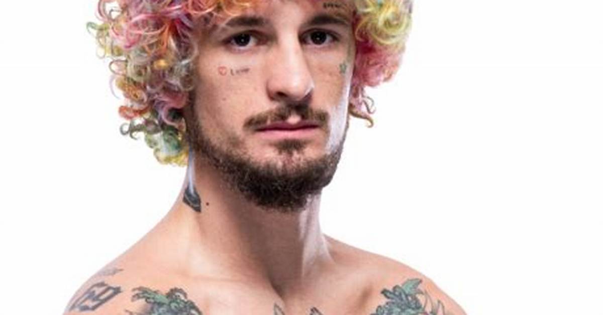 Sean O’malley Record, Age, Losses, Weight, Instagram