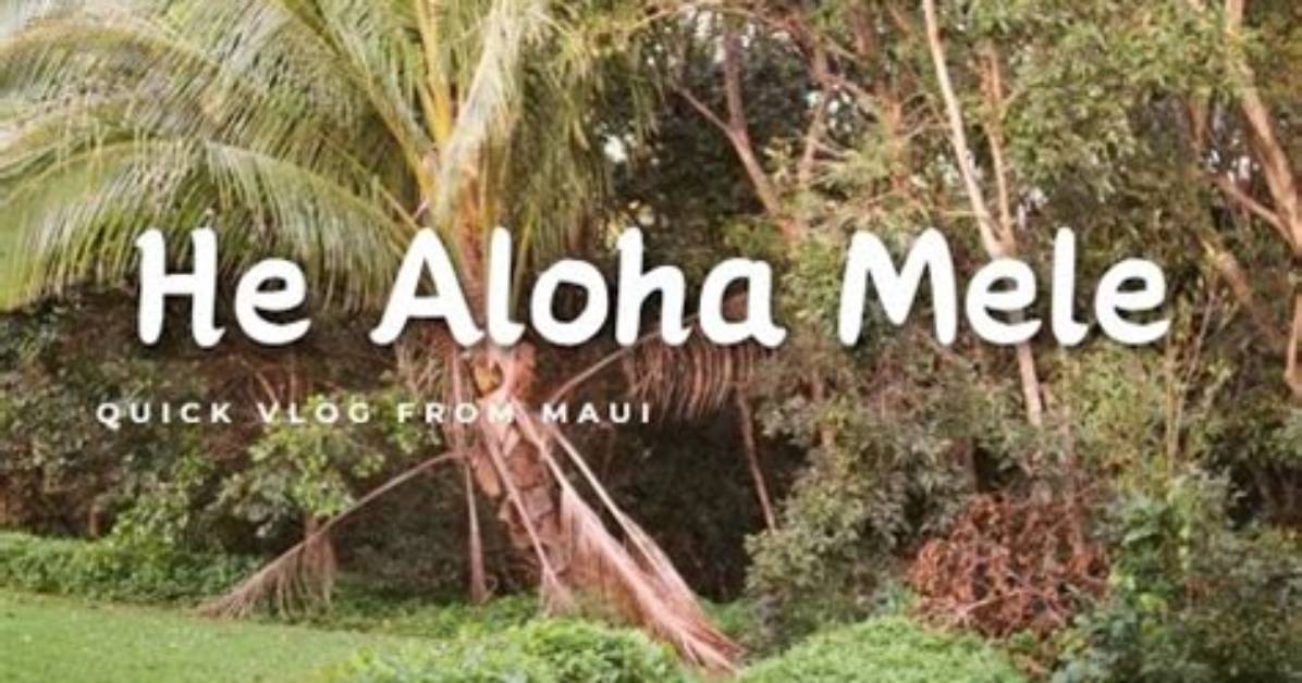 Sprung Monkey’s He Aloha Mele Lyrics