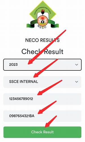 Steps on How to Check Neco Result Without a Scratch Card