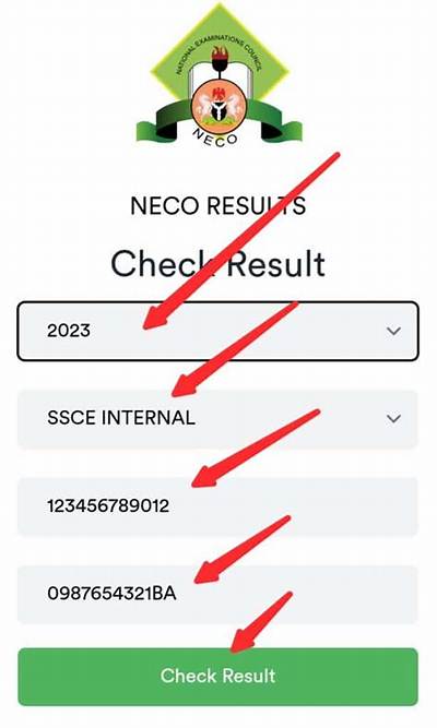 Steps on How to Check Neco Result Without a Scratch Card