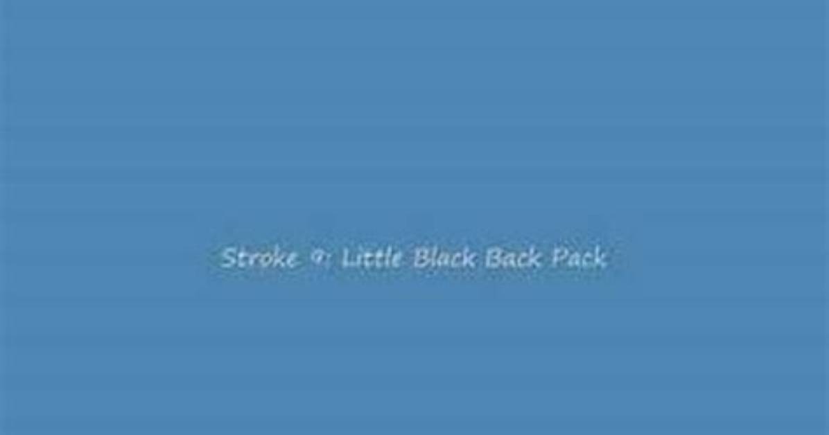 Stroke 9’S Little Black Back Pack (Bumper to Bumper Version) Lyrics