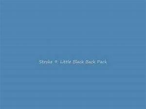 Stroke 9’S Little Black Back Pack (Bumper to Bumper Version) Lyrics