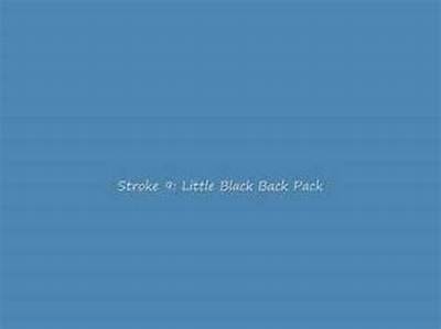 Stroke 9’S Little Black Back Pack (Bumper to Bumper Version) Lyrics