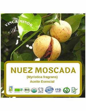 The Comparative Effect of Myristica Fragans (Nutmeg) and Aframomum Melegueta (Alligator Pepper) on Demestes Maculatus Degeer